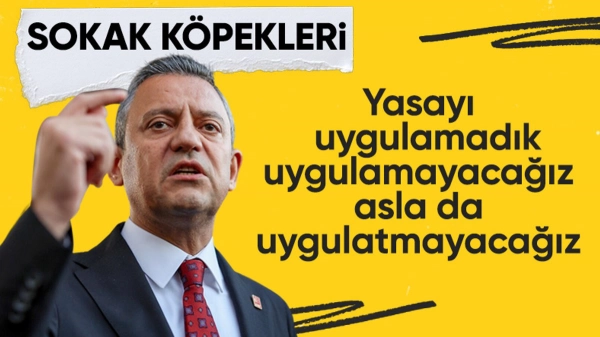Özgür Özel: Başıboş sokak köpekleri yasasını uygulamadık, uygulamayacağız
