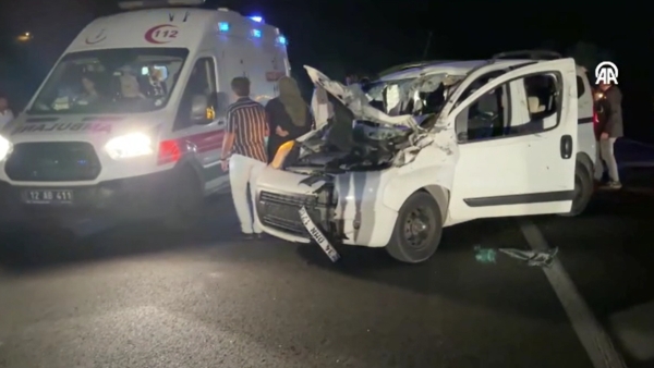 Bingöl'de araç ata çarptı: 1 ölü