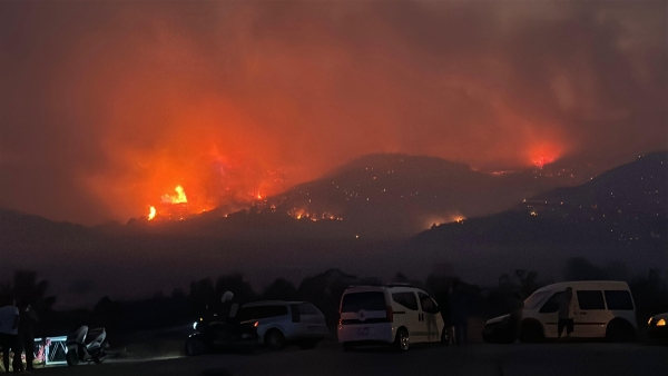 Çanakkale Gelibolu'da orman yangını