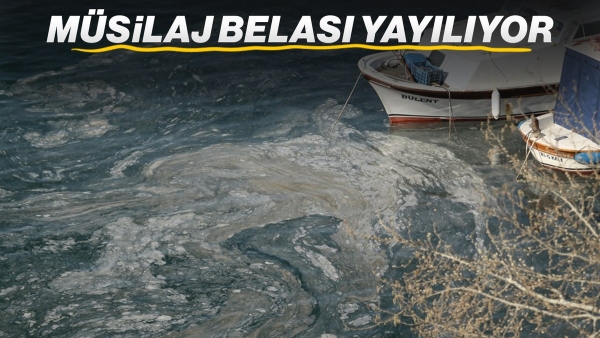 Çanakkale sahillerinde müsilaj tehlikesi