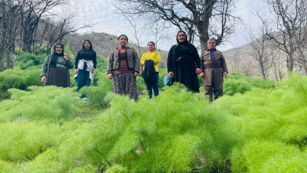 Hakkari'de terör nedeniyle boşaltılan köyde 30 yıl sonra bayram sevinci