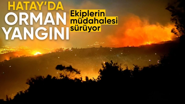 Hatay'da çıkan orman yangınına müdahale sürüyor