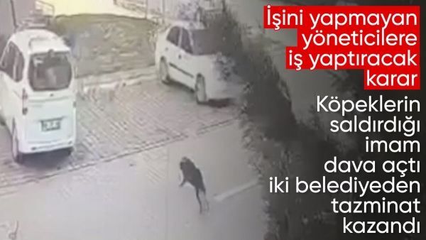 İstanbul'da başıboş köpeğin saldırdığı imam belediye ve İBB'den tazminat alacak
