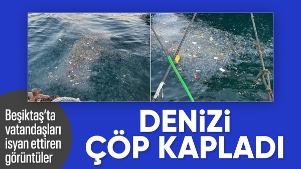 İstanbul'da Beşiktaş sahilini çöp kapladı: Vatandaşlar tepki gösterdi