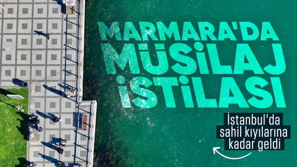 İstanbul'un Beykoz sahilinde müsilaj