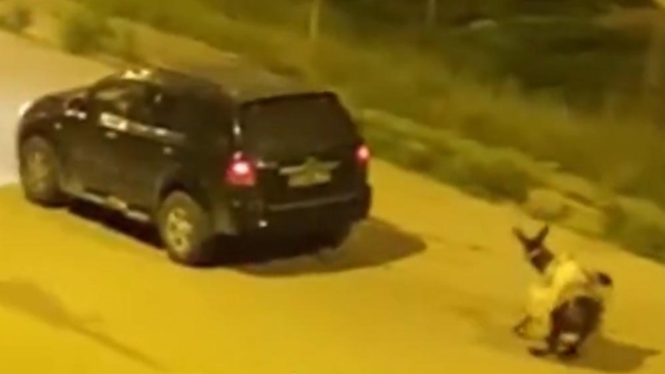 Kars'ta tepki çeken olay: Eşeği otomobilin arkasına bağlayıp sürükleyerek götürdü