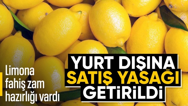 Limon ihracatı geçici olarak durduruldu