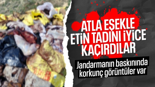 Mardin'de at ve eşek kesen şüpheli yakalandı