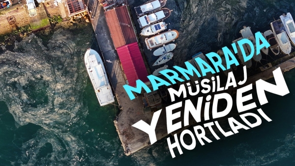 Marmara Denizi'nde müsilaj paniği: Yeniden görülmeye başlandı