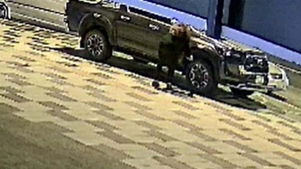 Muğla'da araçların lastiklerini kesen kadın yakalandı