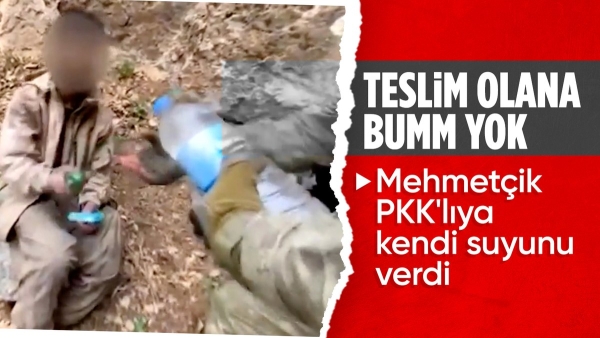 Pençe-Kilit bölgesinde 5 PKK'lı terörist teslim oldu