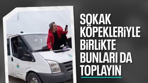 Samsun'da sokak köpeklerini toplayan ekiplere tepki