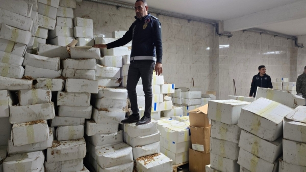 Şanlıurfa'da 11 ton bozulmuş ceviz içi ele geçirildi