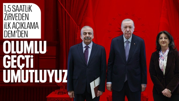 Sırrı Süreyya Önder: Cumhurbaşkanı ile görüşme olumlu geçti