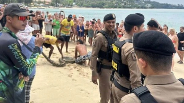 Tayland'da denizden 3 metrelik dev piton çıktı