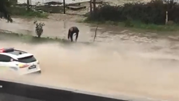 Yalova'da kara yolunu basan suyu vatandaş boşalttı