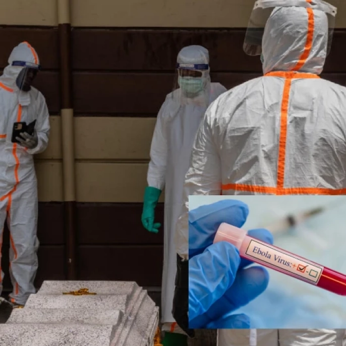 Kongo'da Ebola virüsü salgını: Can kaybı 600'e ulaştı