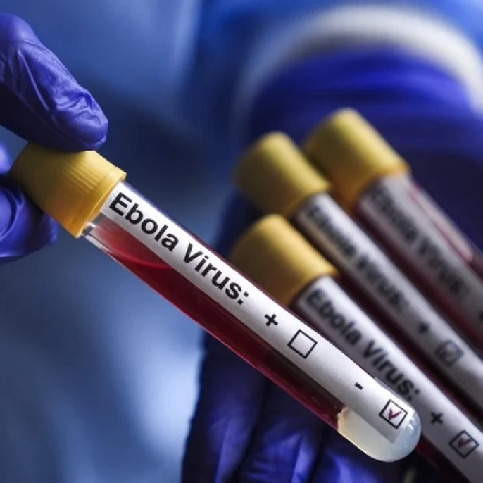 Kongo Demokratik Cumhuriyeti'nde Ebola alarmı: Vaka sayısı 1561'e ulaştı
