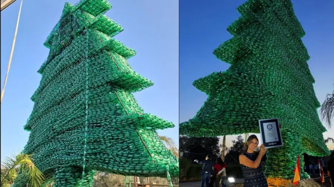 Lübnan'dan şok eden rekor: 450 bin pet şişeyle dev sedir ağacı dikti!