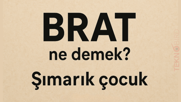Brat Ne Demek? Anlamı ve Kullanım Alanları - Teknobird