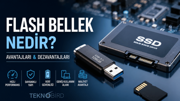Flash Bellek Nedir? Avantajları ve Dezavantajları - Teknobird