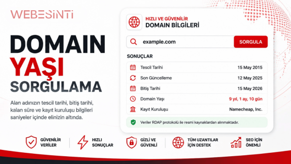 Domain Yaşı Sorgulama | Ücretsiz Domain Age Checker - Webesinti