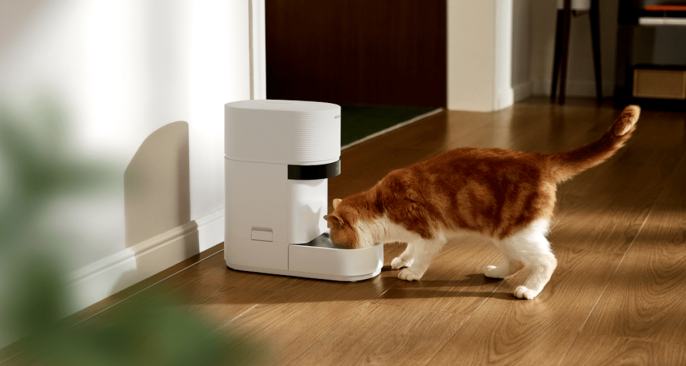 Petlibro'nun yeni akıllı besleyicisi çoklu kedi evleri için ideal