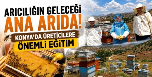 Arıcılığın geleceği ana arıda! Konya’da üreticilere önemli eğitim