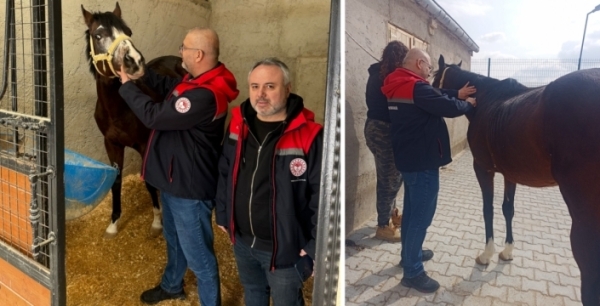 At ve eşekler kayıt altına alınıyor
