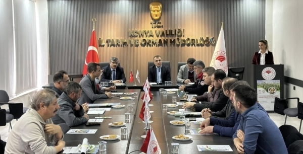 Bu ot silajlık mısırın alternatifi olacak
