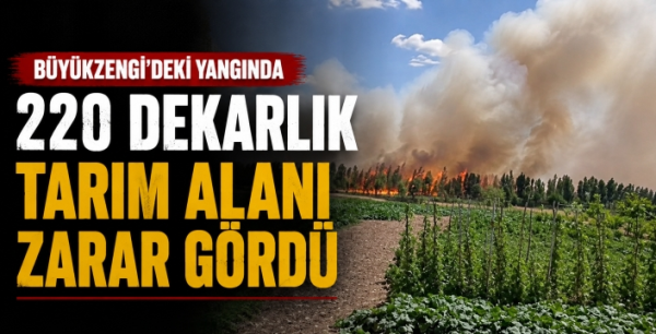 Büyükzengi'deki yangında 220 dekarlık tarım alanı zarar gördü