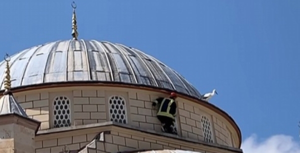 Cami kubbesinde mahsur kalan leyleği itfaiye erleri kurtardı