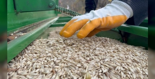 Çiftçinin yüzü gülmüyor: Gübre fiyatları üretimi tehdit ediyor!