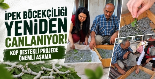 İpek böcekçiliği yeniden canlanıyor! KOP destekli projede önemli aşama