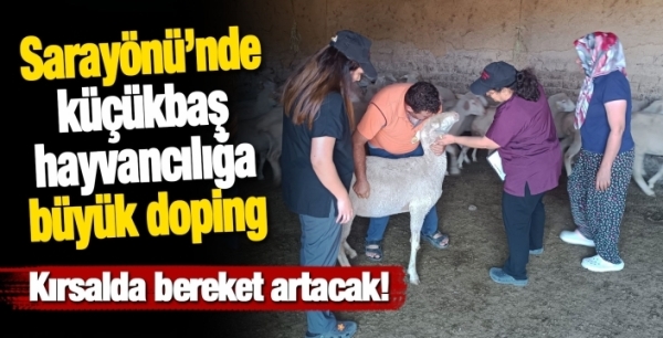 Kırsalda Bereket projesinde ilk kontroller yapıldı