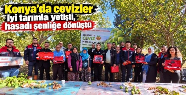Konya’da ceviz hasadı şenliğe dönüştü! Üreticilere ekipman desteği
