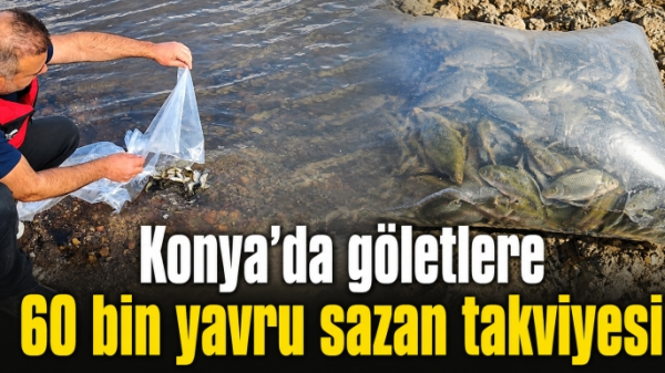 Konya’da göletlere 60 bin yavru sazan takviyesi