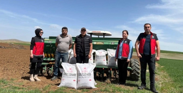 Konya’da yerli tohum hamlesi: KOÇ-42 aspir toprakla buluştu