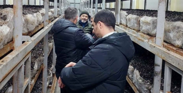 Konya mantar üretim üssü olacak: Üreticilere teknik destek