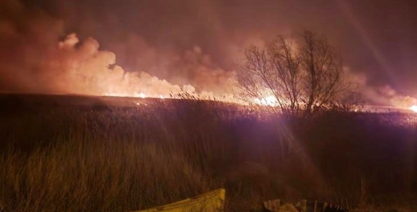 Konya’nın sınırında sazlık yangını: Binlerce canlı telef oldu