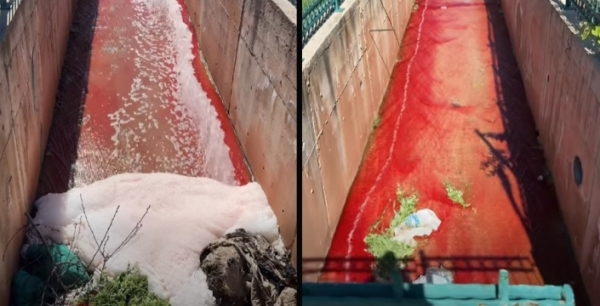 Kurban Bayramı’nda dere kırmızıya döndü! Görenler şaşkınlığını gizleyemedi