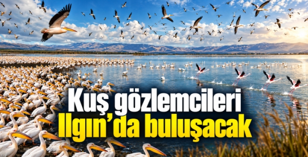 Kuş gözlemcileri Ilgın'da buluşacak