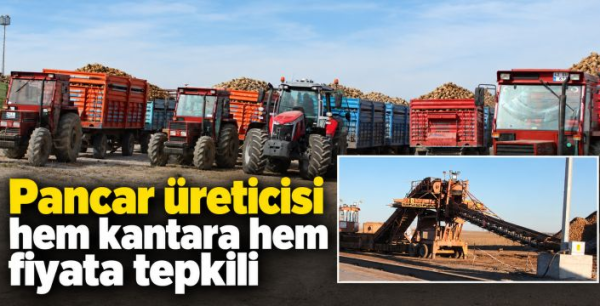Pancar üreticisi hem kantara hem fiyata tepkili 