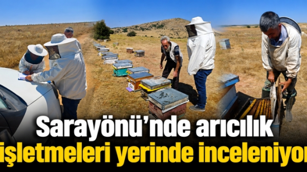 Sarayönü’nde arıcılık işletmeleri yerinde inceleniyor
