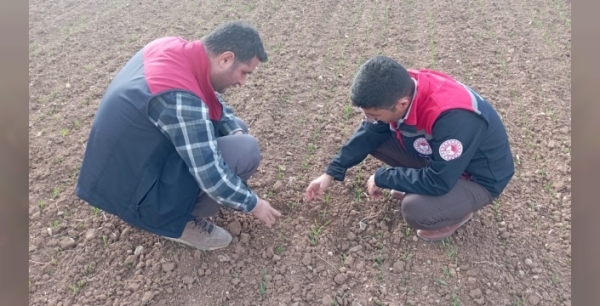 Sarayönü’nde ekili araziler incelendi