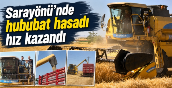 Sarayönü'nde hasat gece gündüz sürüyor! Verim üreticinin yüzünü güldürdü