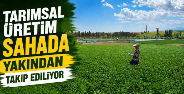 Sarayönü’nde tarımsal üretim sahada yakından takip ediliyor
