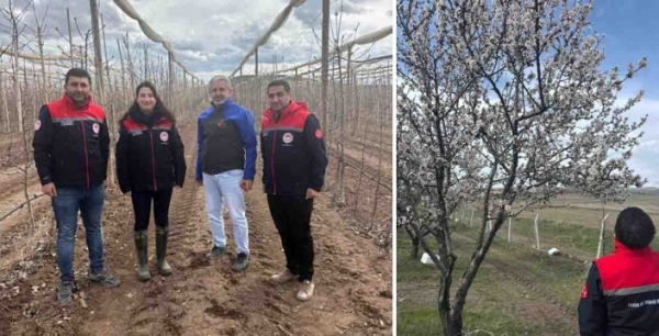 Zirai dona karşı erken önlem!