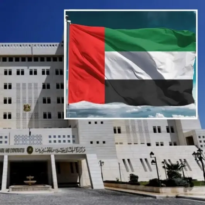 Suriye'den BAE'ye başsağlığı: Teknik arıza iki askerin canını aldı