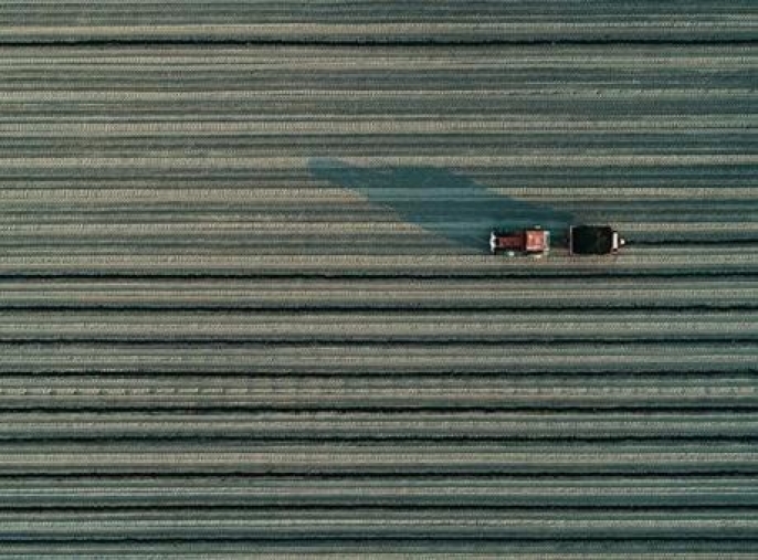 Tarımda devrim yolda: 6 milyar TL destekle 8 bin kişiye yeni iş kapısı açılıyor!